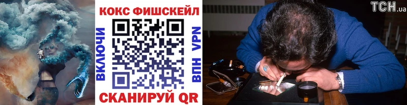 Купить закладки  Каменка  Кокаин Fish Scale 