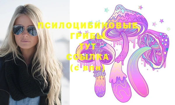 крисы Красноперекопск