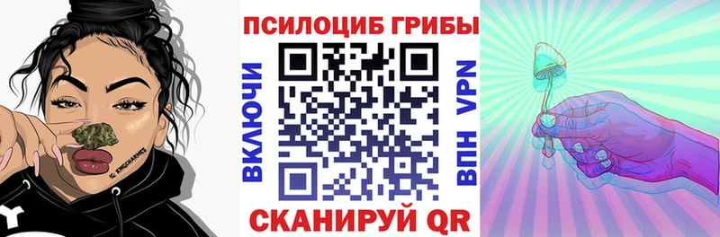 Купить  Каменка  Галлюциногенные грибы Psilocybine cubensis 