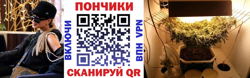 Купить закладки  Каменка  Каннабис VHQ 